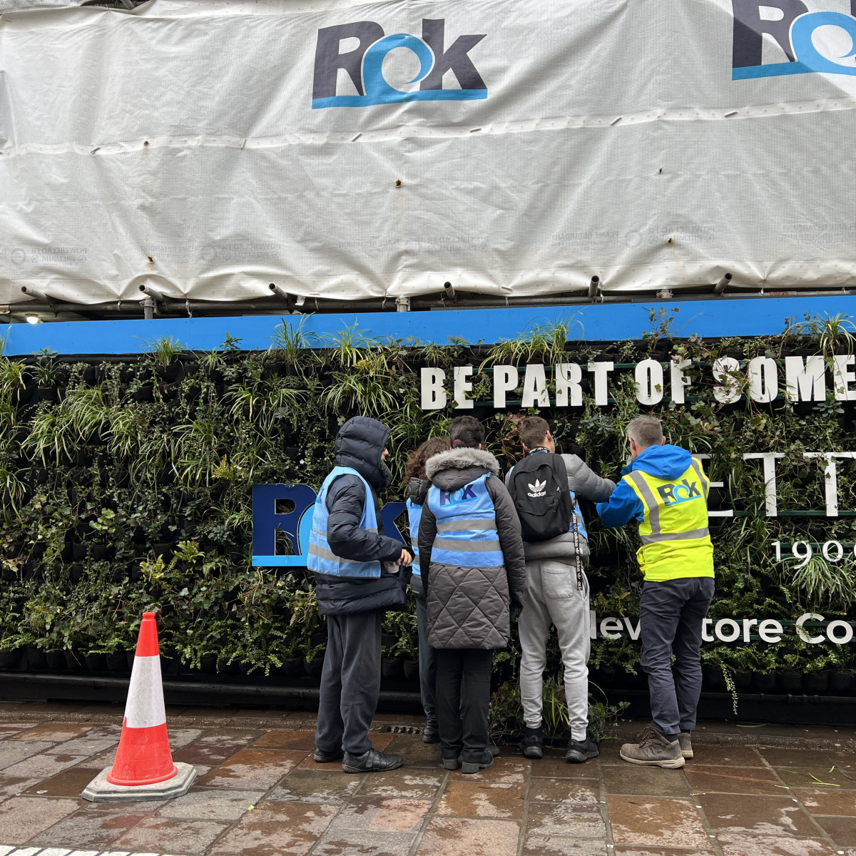 Green wall planting at Hettich