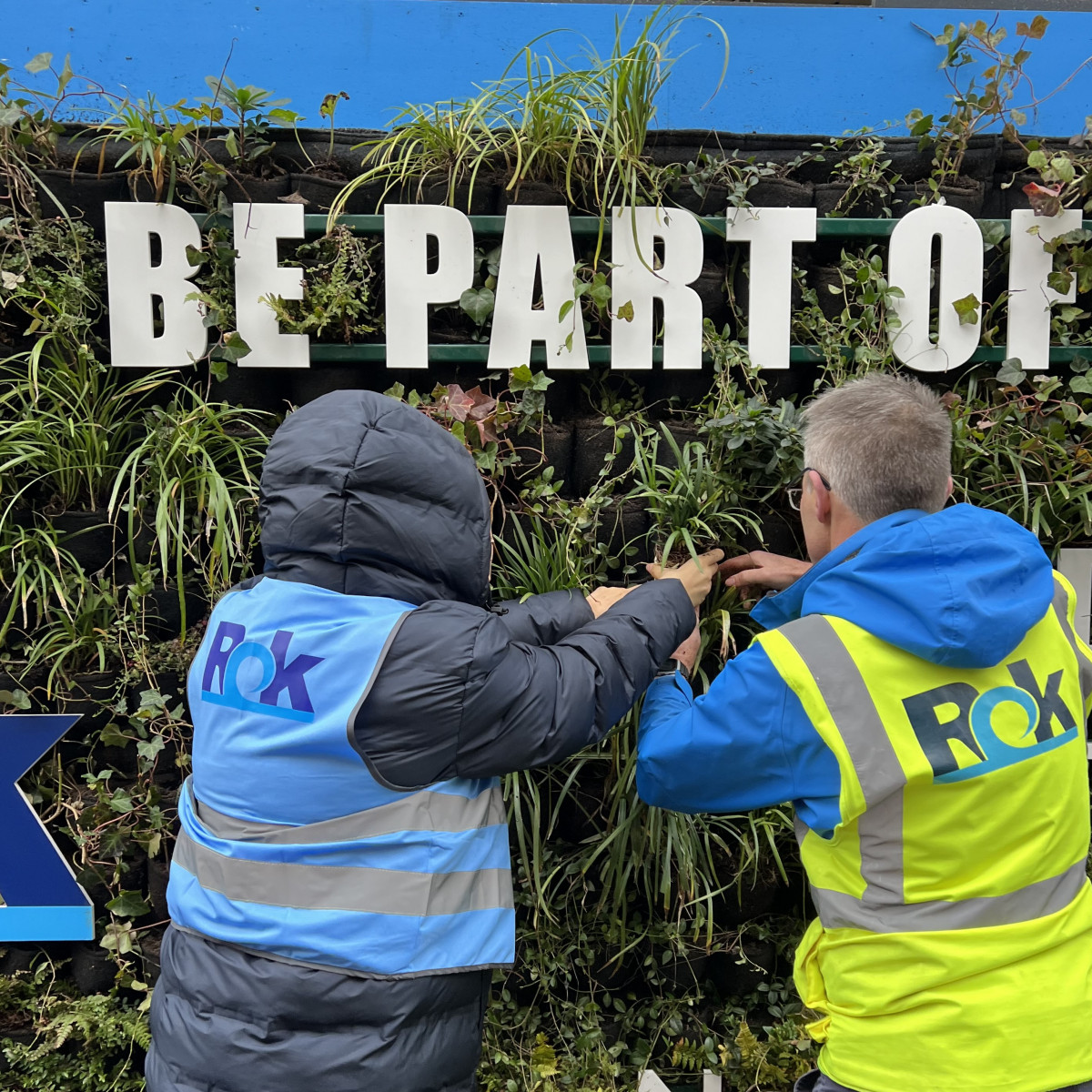 Green wall planting at Hettich